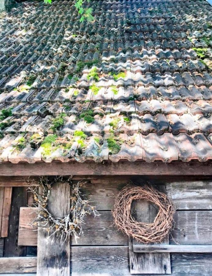Gasthaus Birke Otel Kirchzarten Dış mekan fotoğraf